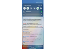 LG Wing software