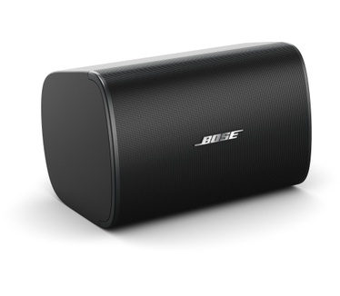 Bose DesignMax DM6SE