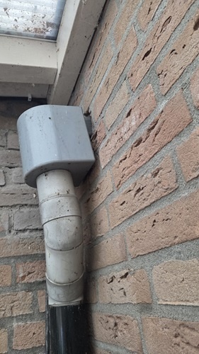 Afbeeldingslocatie: https://tweakers.net/i/bl9AB___DGenOCYZP-6EpVZKuNk=/fit-in/4920x3264/filters:max_bytes(3145728):no_upscale():strip_icc():strip_exif()/f/image/f17jmZjyR8UtNOlQSNUSArL1.jpg?f=user_large