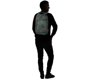 Samsonite Securipak
