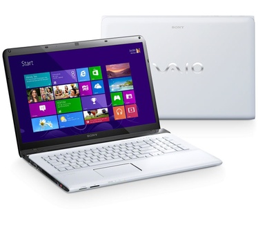 Sony Vaio SVE1713A1E (Belgisch model)