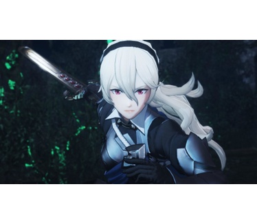 Fire Emblem Warriors, Switch