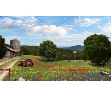 Whisper Ari, The Bold Rider