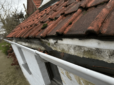 Afbeeldingslocatie: https://tweakers.net/i/bpbkZw39RZOGxHBXNUttnUCadm0=/234x176/filters:strip_exif()/f/image/hqjsVs6Nu08aPqIzxV1t47FY.png?f=fotoalbum_medium