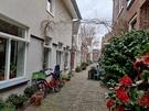 OnePlus 9 en 9 Pro - Primaire camera overdag
