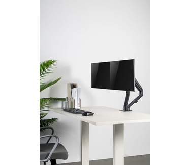Newstar flatscreen bureausteun