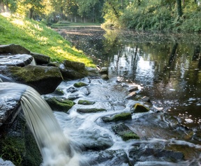 Voorbeelden JPEG en RAW