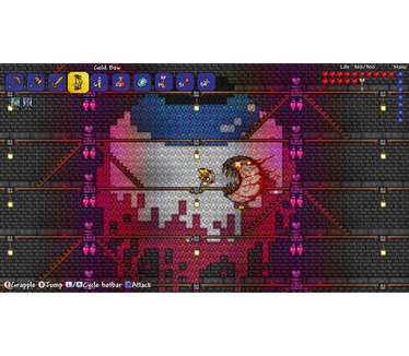 Terraria, PS4