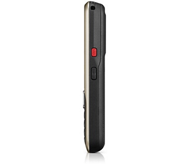 Samsung C3060 Goud