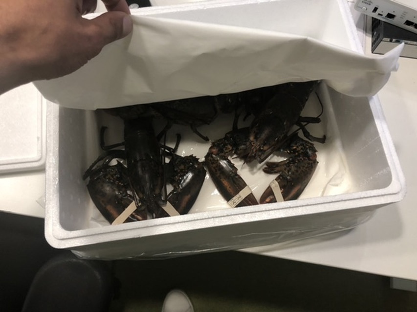 Afbeeldingslocatie: https://tweakers.net/i/bsnOPnkTMfncHtv5QJPHM6sCoHU=/full-fit-in/4920x3264/filters:max_bytes(3145728):no_upscale():strip_icc():fill(white):strip_exif()/f/image/iNN010oAgbUdaMxAWpcem8lu.jpg?f=user_large