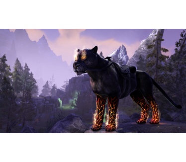 The Elder Scrolls Online: Summerset, PS4
