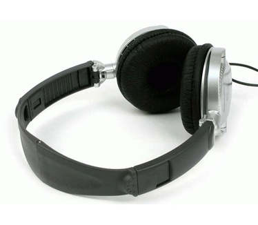 Panasonic RP-DJ100 (Zilver)