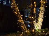 Cameravergelijking - 2x zoom