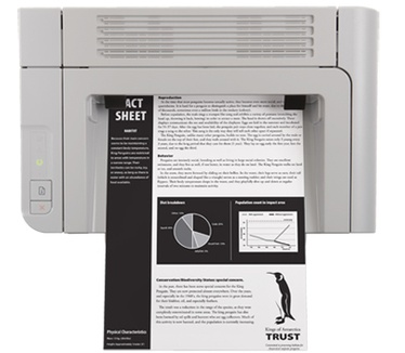 HP Laserjet Pro P1566 (CE663A)