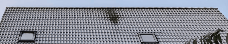 Afbeeldingslocatie: https://tweakers.net/i/c2dT04fsCSdjwUZlpLvWCcinjlw=/800x/filters:strip_exif()/f/image/yi7JV48CtaDEaMrWOXzDNRAm.png?f=fotoalbum_large