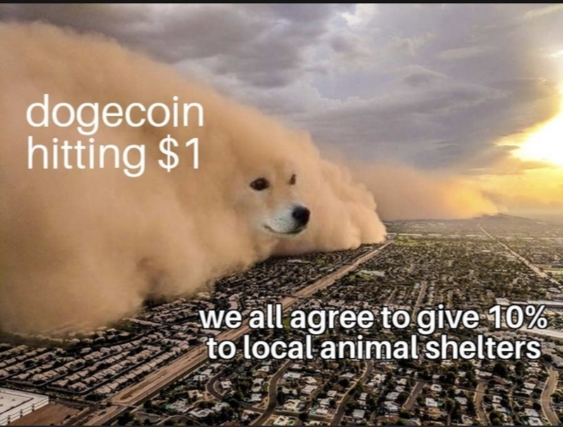 Afbeeldingslocatie: https://tweakers.net/i/c3SfckQB340Bd5lcVPnJjdeGk9M=/800x/filters:strip_icc():strip_exif()/f/image/qGTlqNptRFtDVR3lBANfi3k2.jpg?f=fotoalbum_large