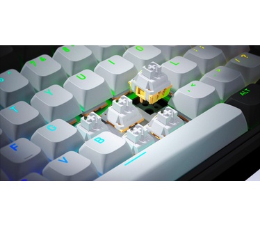 HATOR Skyfall Pro Wireless 65