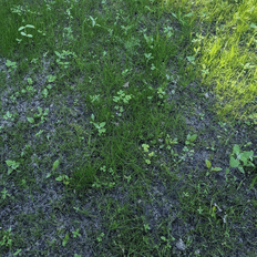 Afbeeldingslocatie: https://tweakers.net/i/c4JP1q56Ll6mtr4rUO8l1p2CmDU=/232x232/filters:strip_exif()/f/image/4z4JXU5JtdaReYFB2kxsqHOt.png?f=fotoalbum_tile