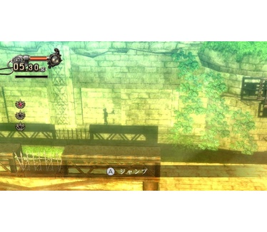 A Shadow's Tale