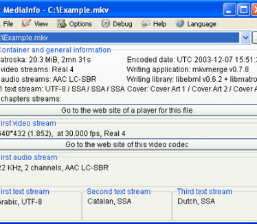 MediaInfo screenshot (410 pix)