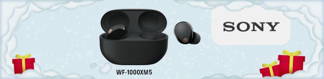 Sony DPP23