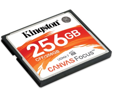 Kingston Canvas Focus