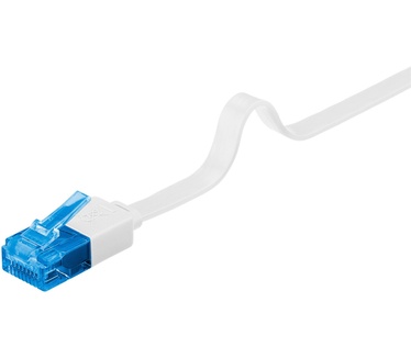 Wentronic Nicht kategorisiert Blauw, Wit