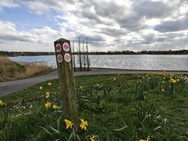 Phone 4a Pro cameratest - Hoofdcamera