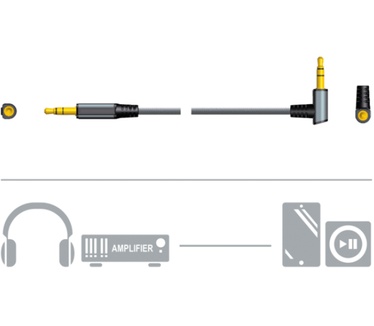 Schwaiger AIAU2010 413