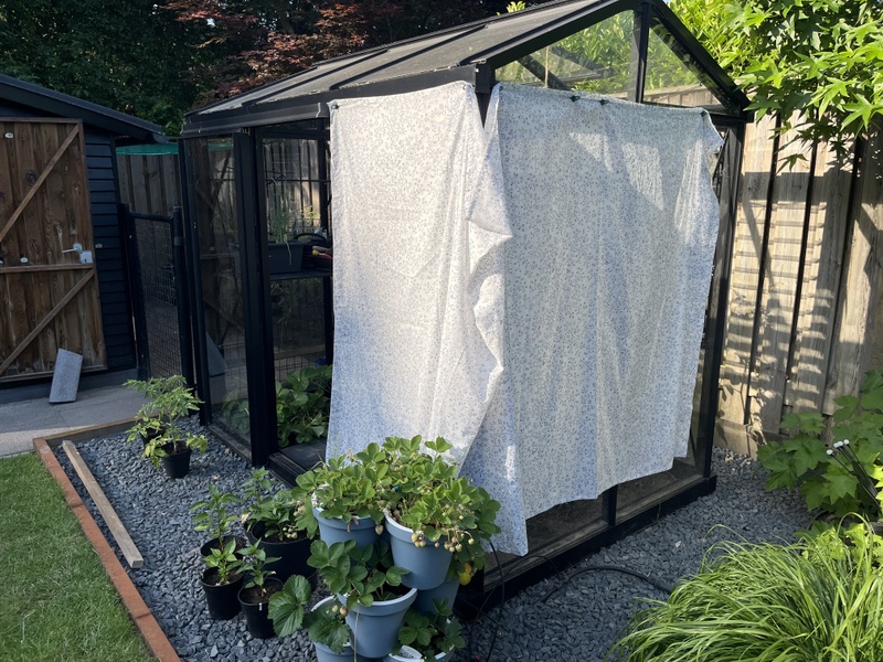 Afbeeldingslocatie: https://tweakers.net/i/cFNEkDLnXzGxFuVof7VNHkrZXcw=/800x/filters:strip_icc():strip_exif()/f/image/7luDj3IZWEo09pzyqiwwq1Oz.jpg?f=fotoalbum_large