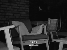 Afbeeldingslocatie: https://tweakers.net/i/cGqOq9SJXXrII6Auwpv1ZAM2Q0Y=/234x176/filters:strip_icc():strip_exif()/f/image/KT4qL8cQpkNcLRBK9Hchtqlu.jpg?f=fotoalbum_medium