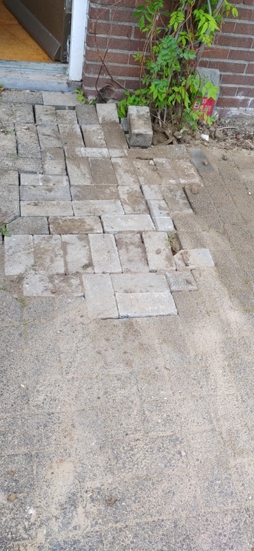 Afbeeldingslocatie: https://tweakers.net/i/cIu94ltGvJLHF11yIKd-PJCDa4w=/x800/filters:strip_icc():strip_exif()/f/image/rRbS2d2aOllwFZ7cQTaE5gU2.jpg?f=fotoalbum_large