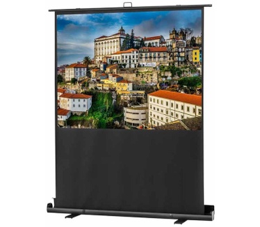 Celexon Mobile Professional Plus