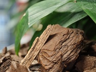 Cameratest Xiaomi 17 Ultra - Macro