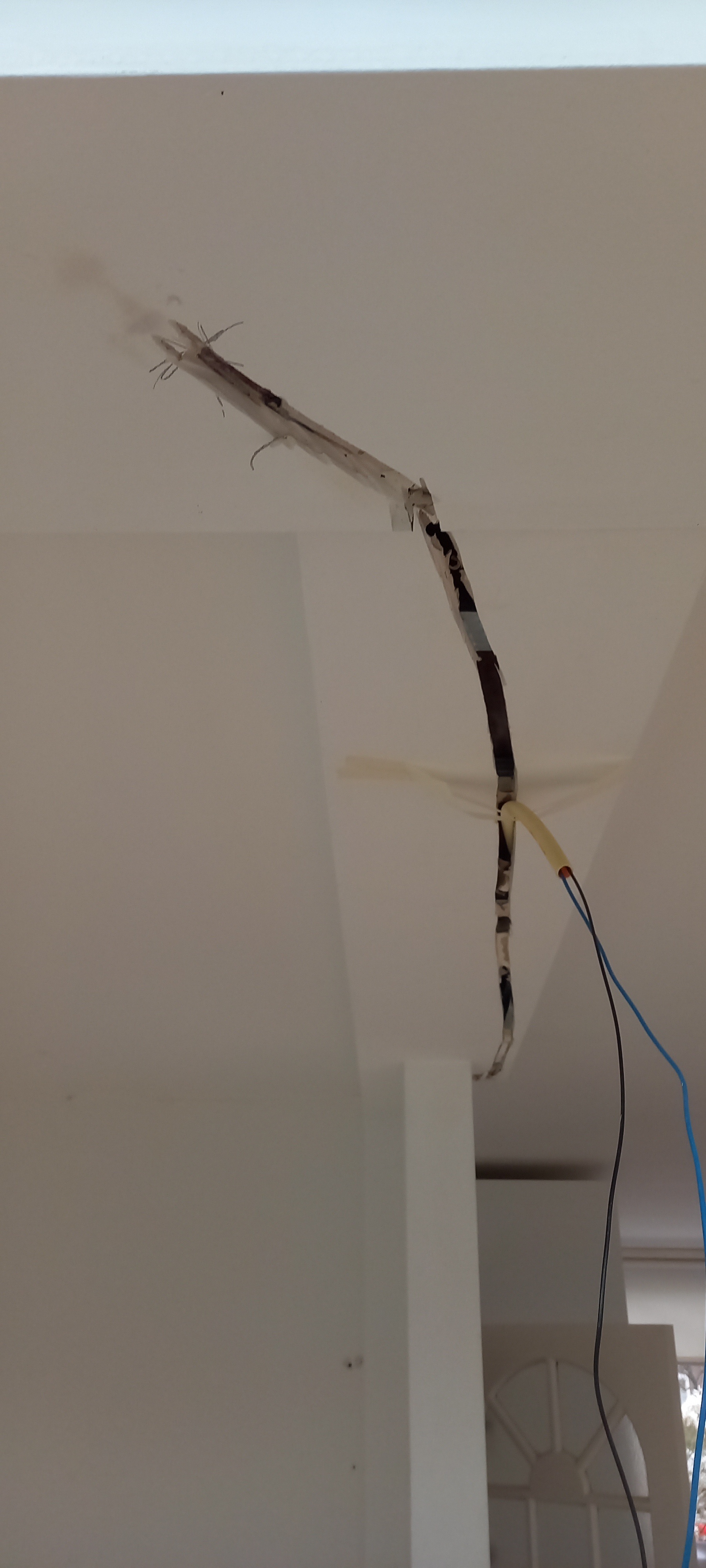 Afbeeldingslocatie: https://tweakers.net/i/cJFH6hxOcZ3YdBTNgwX7-a9TJjY=/full-fit-in/4920x3264/filters:max_bytes(3145728):no_upscale():strip_icc():fill(white):strip_exif()/f/image/KodKSgvK1XfIGGz6MLmaymL7.jpg?f=user_large