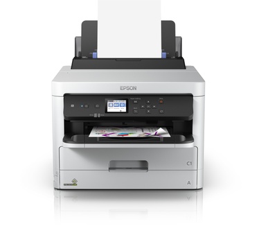 Epson T01D100