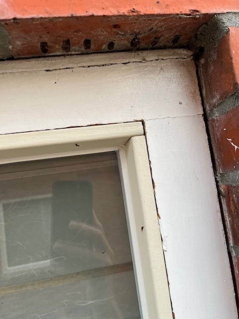 Afbeeldingslocatie: https://tweakers.net/i/cNmhIWrAj7rOAY1TeZEVJqnqJ6E=/full-fit-in/4920x3264/filters:max_bytes(3145728):no_upscale():strip_icc():fill(white):strip_exif()/f/image/UDF2DMCwu1swj5DVPJOaEFvI.jpg?f=user_large