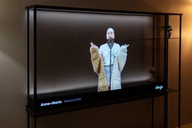 LG Signature OLED T transparante oled tv