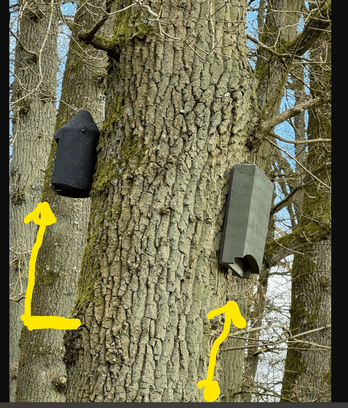 Afbeeldingslocatie: https://tweakers.net/i/cT7ovJQg9KoHpTB-xIQW6vLhBmg=/x800/filters:strip_exif()/f/image/KCCuWBEGYuXjdpp0CPAgmemu.png?f=fotoalbum_large