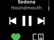 Spotify op Apple Watch