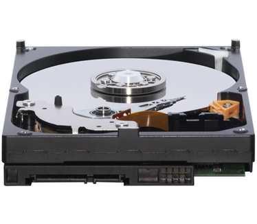 WD RE2-GP WD1000FYPS, 1TB
