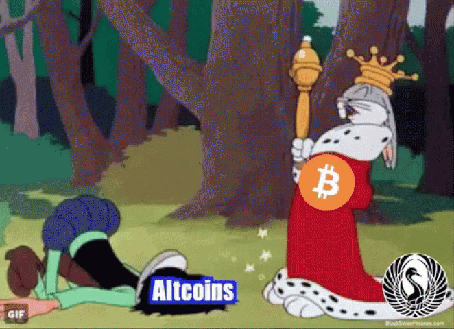 Afbeeldingslocatie: https://tweakers.net/i/cUOk5waPiezqmihgQrtffQXr3gY=/full-fit-in/4000x4000/filters:no_upscale():fill(white):gifsicle():strip_exif()/f/image/giiVHhFpazO4zFoMflGlSBlw.gif?f=user_large