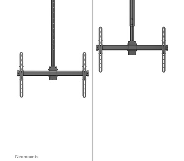 Neomounts Neomounts TV plafondsteun