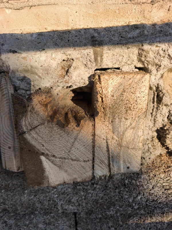 Afbeeldingslocatie: https://tweakers.net/i/cYsrr25x9BoOCTTQwG5BLM_YZGw=/x800/filters:strip_icc():strip_exif()/f/image/EMD4LpGBZHy5r67aAi9nT28H.jpg?f=fotoalbum_large