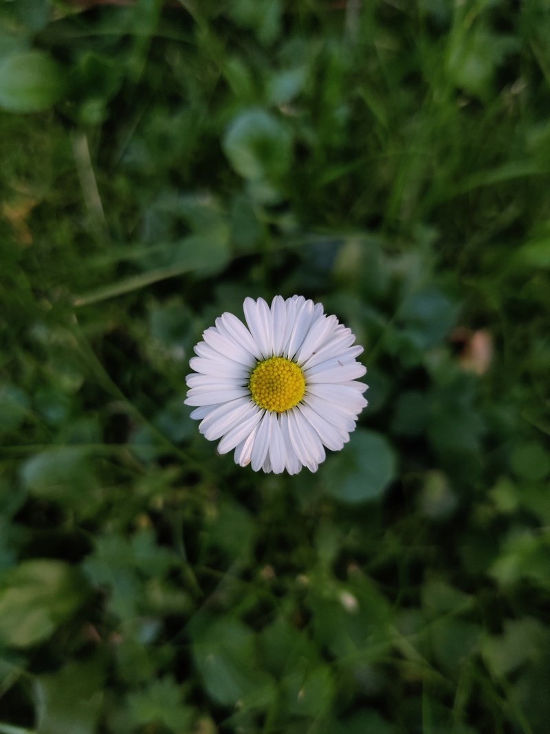 Afbeeldingslocatie: https://tweakers.net/i/cZe-KU8kQ_wScGj-djg1J5G-UGs=/800x/filters:strip_icc():strip_exif()/f/image/ViYCXspnWxUHmBVedWJmJwqY.jpg?f=fotoalbum_large