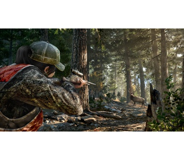 Far Cry 5, PlayStation 4
