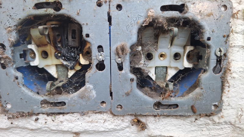 Afbeeldingslocatie: https://tweakers.net/i/cclifBPOBHUcbFtf1MZB8kNXTfM=/800x/filters:strip_icc():strip_exif()/f/image/zECrjS6ODO3LUcRWRyBOkN8b.jpg?f=fotoalbum_large