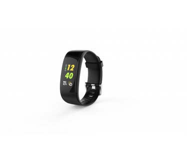 Swisstone SW 650 Pro