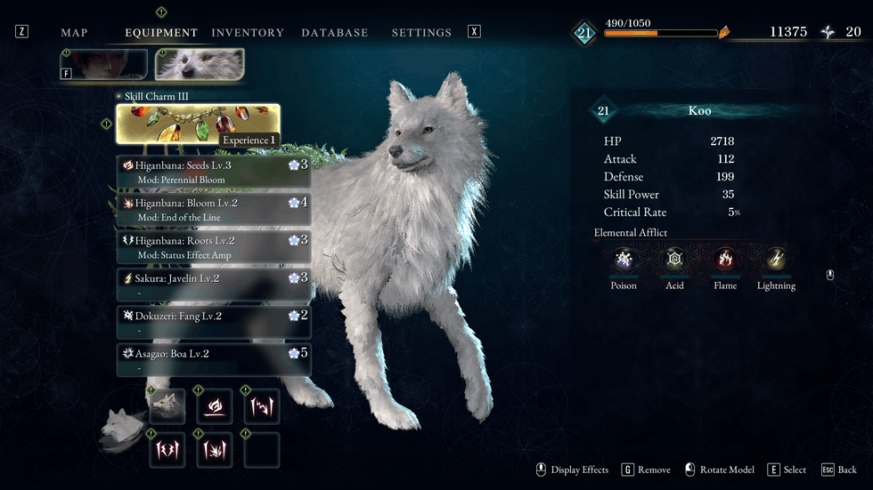 Beast of Reincarnation