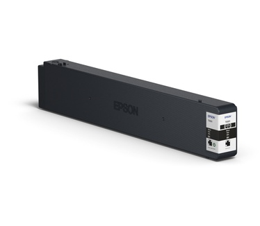Epson C13T858100